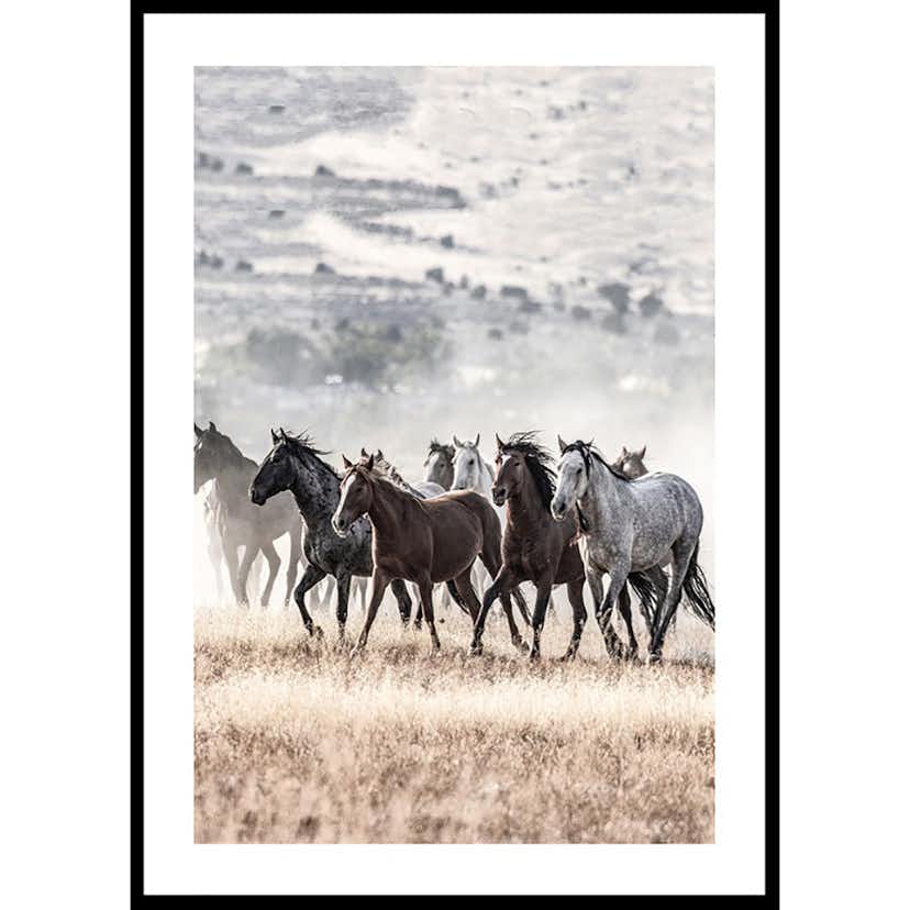 Poster Gallerix Wild Horses Free Spirit