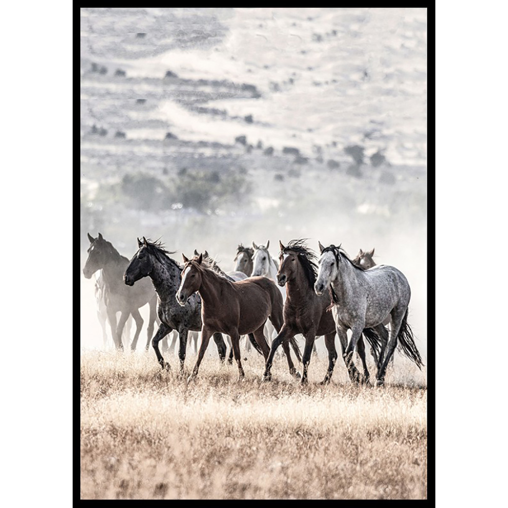 Poster Gallerix Wild Horses Free Spirit