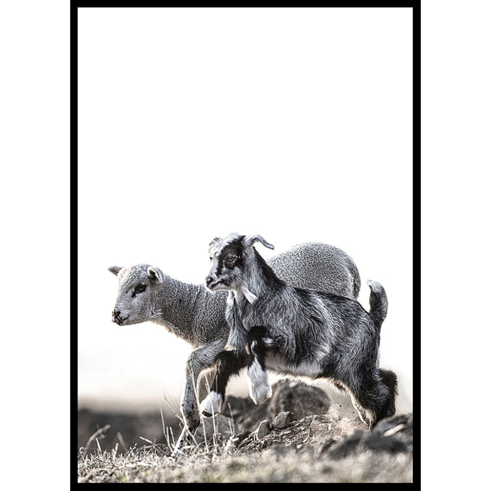 Poster Gallerix Kid And Lamb