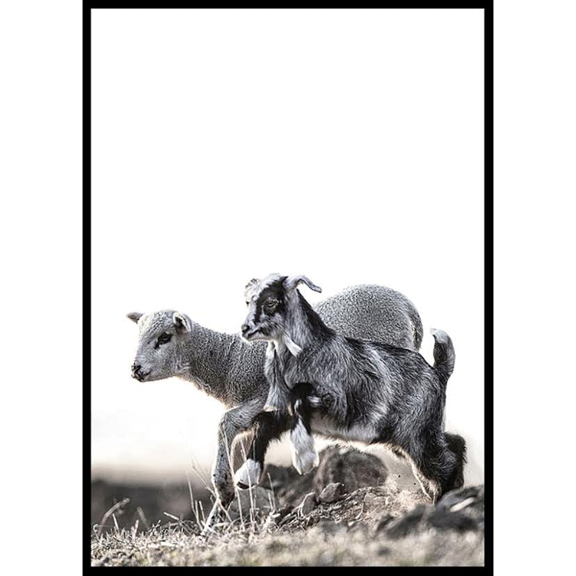 Poster Gallerix Kid And Lamb