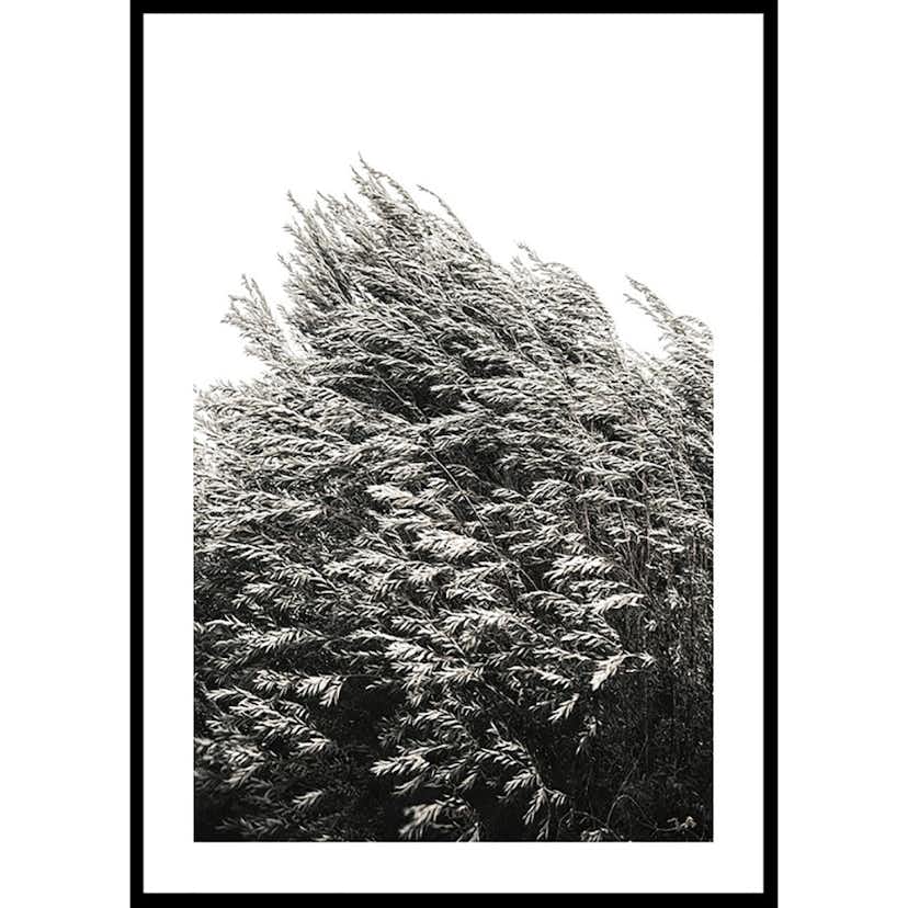 Poster Gallerix Bush Of Plants