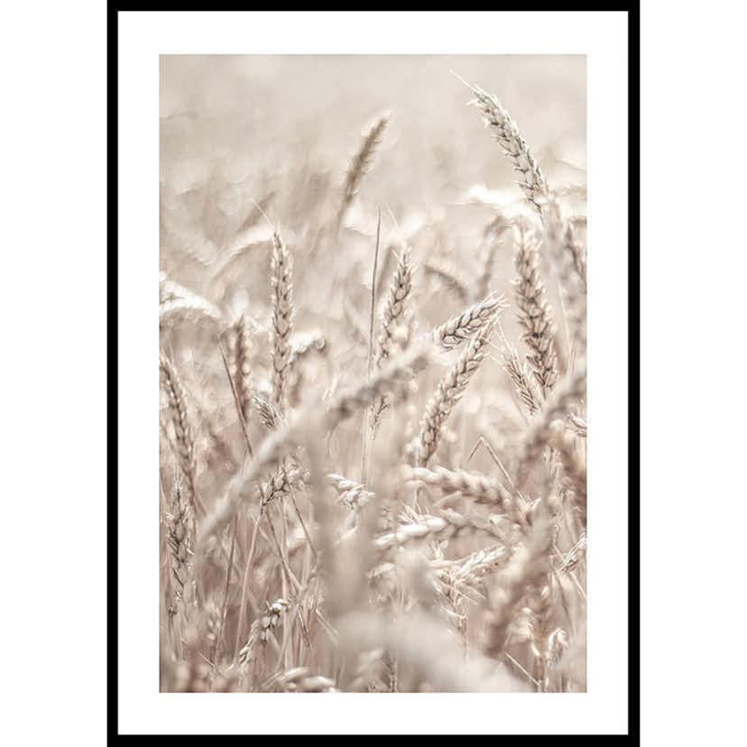 Poster Gallerix Wheat Accumulation
