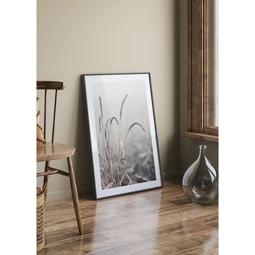 Poster Gallerix Grass Plants