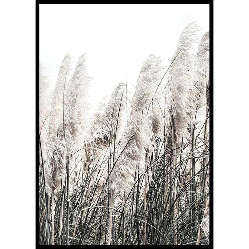 Poster Gallerix Wild Grass Tall
