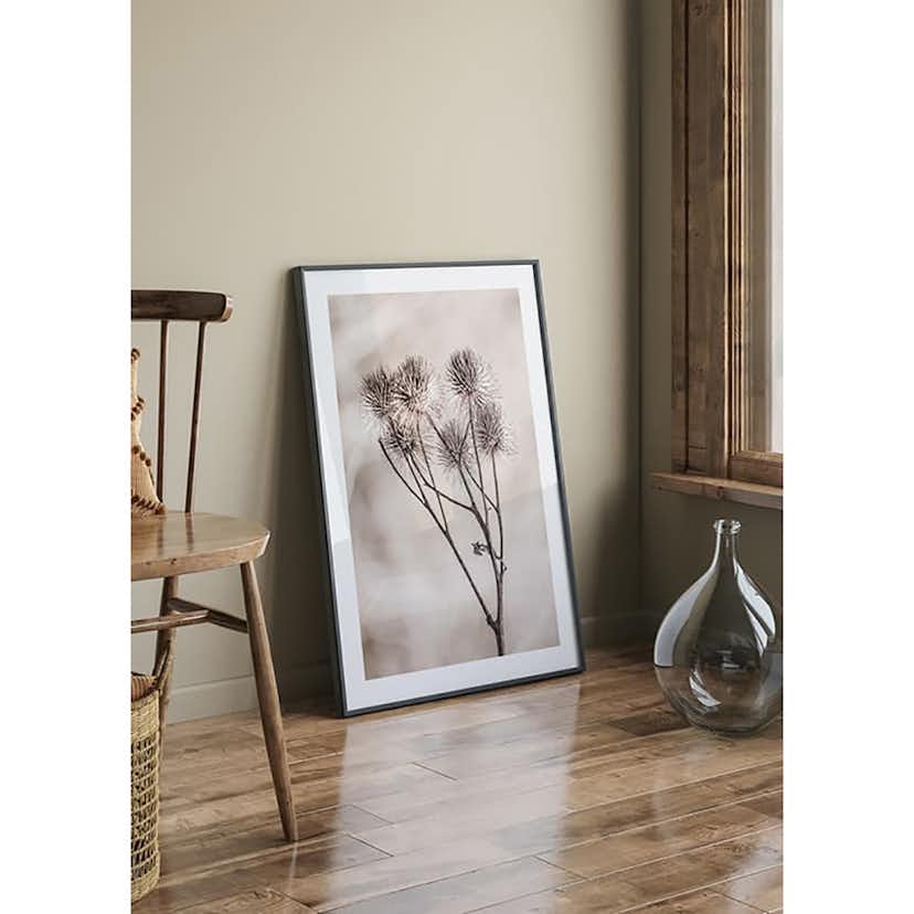 Poster Gallerix Dried Flower Sprig