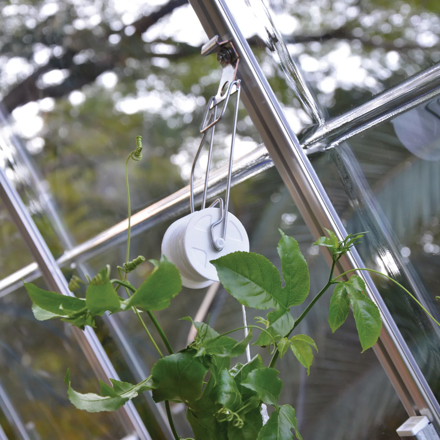 Uppbindningskit Canopia by Palram