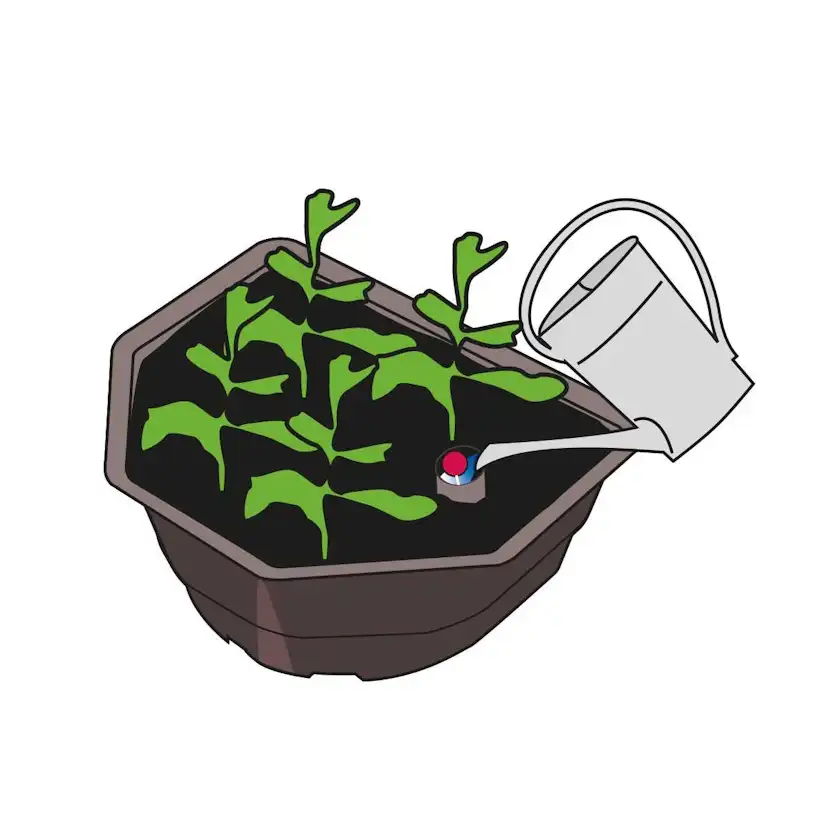 Växttråg Biolan 16 L