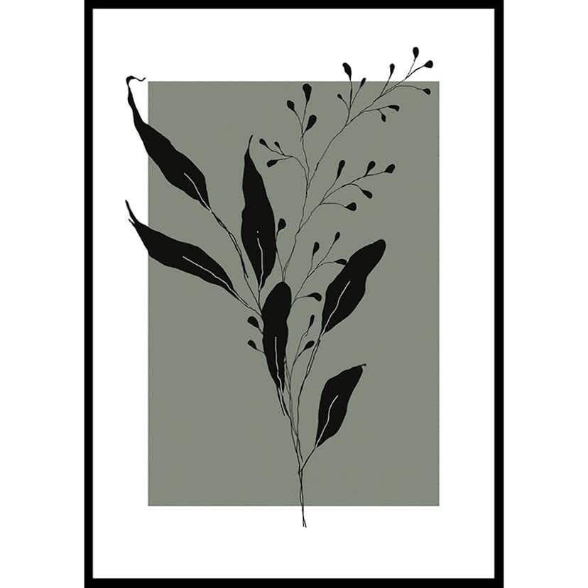 Poster Gallerix Botanical Sketch No1