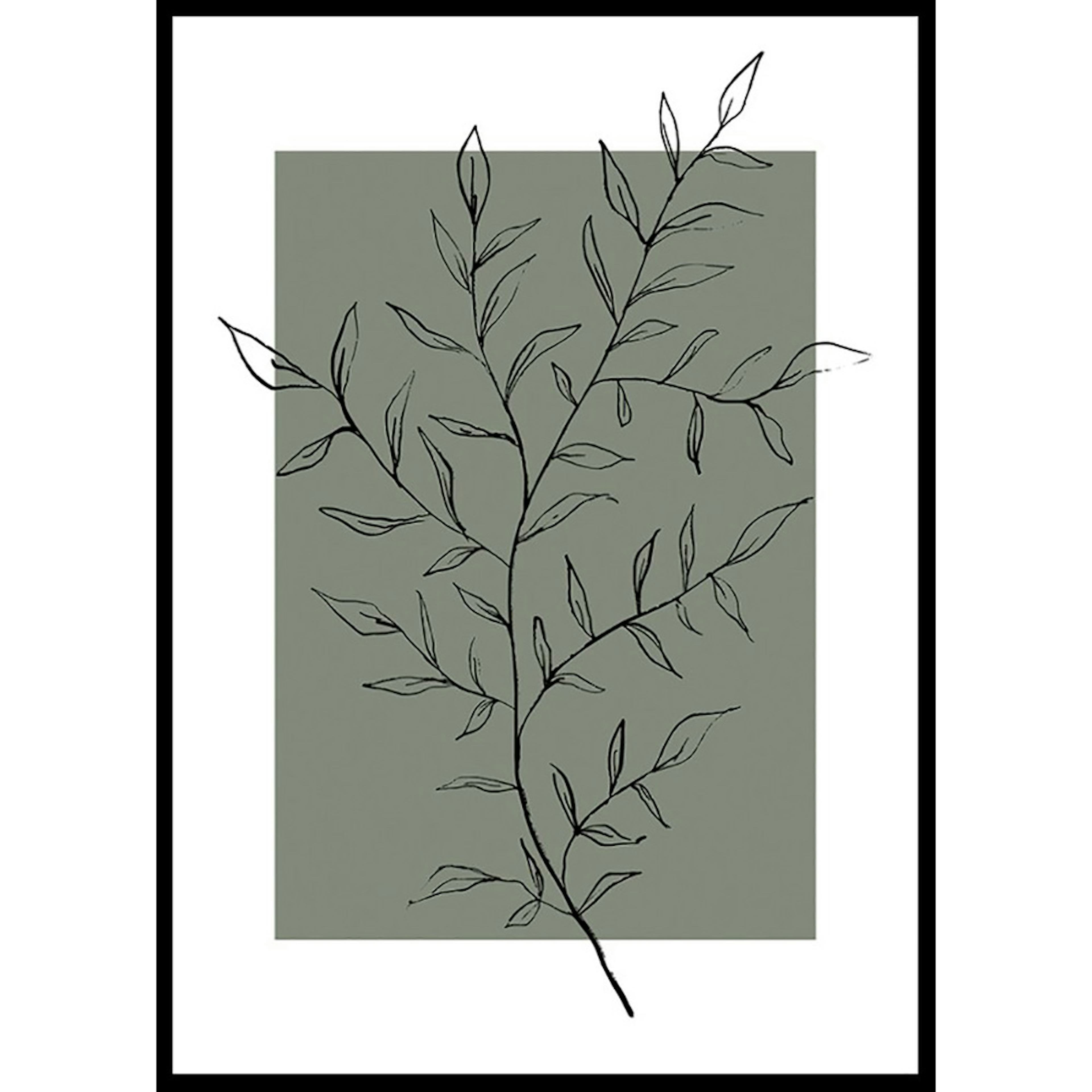 Poster Gallerix Botanical Sketch No2