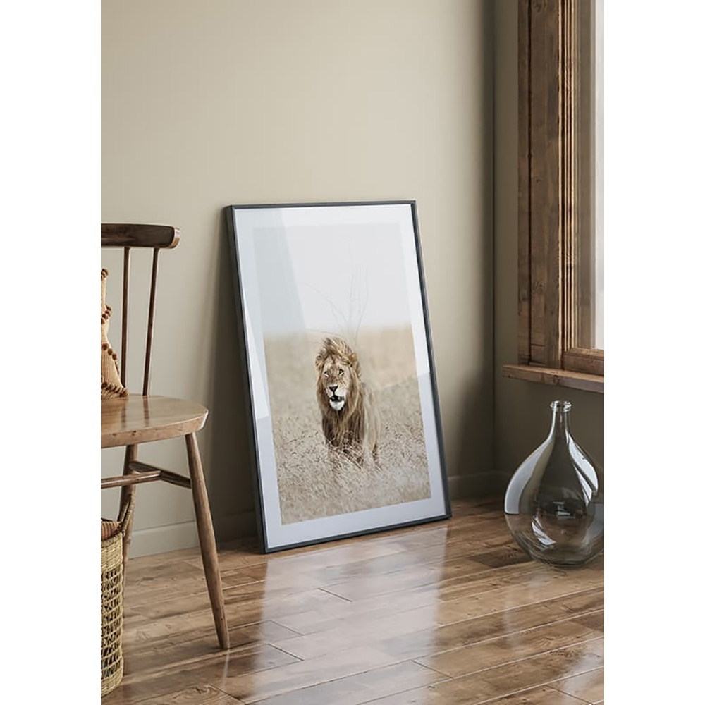 Poster Gallerix Lion On The Savannah