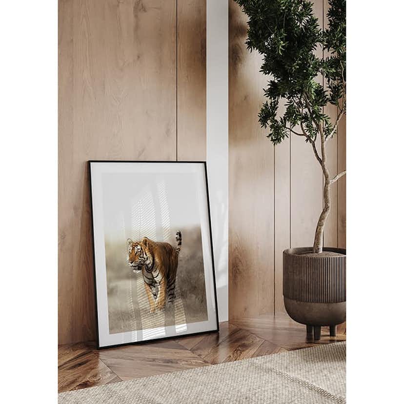 Poster Gallerix Tiger Walk