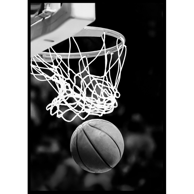 Poster Gallerix Basketball Game