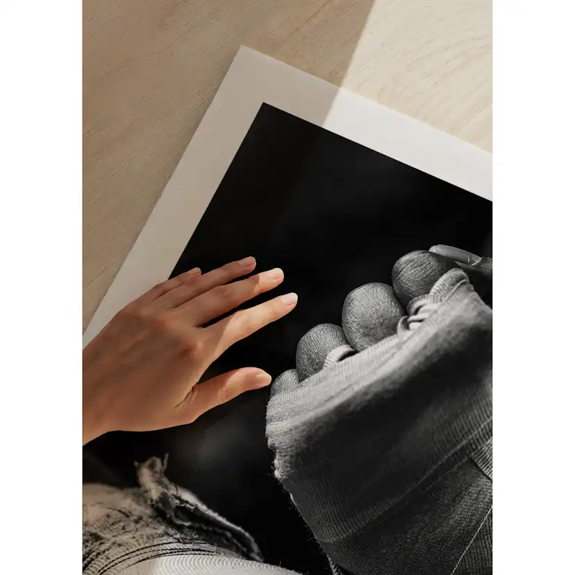 Poster Gallerix Ready To Fight