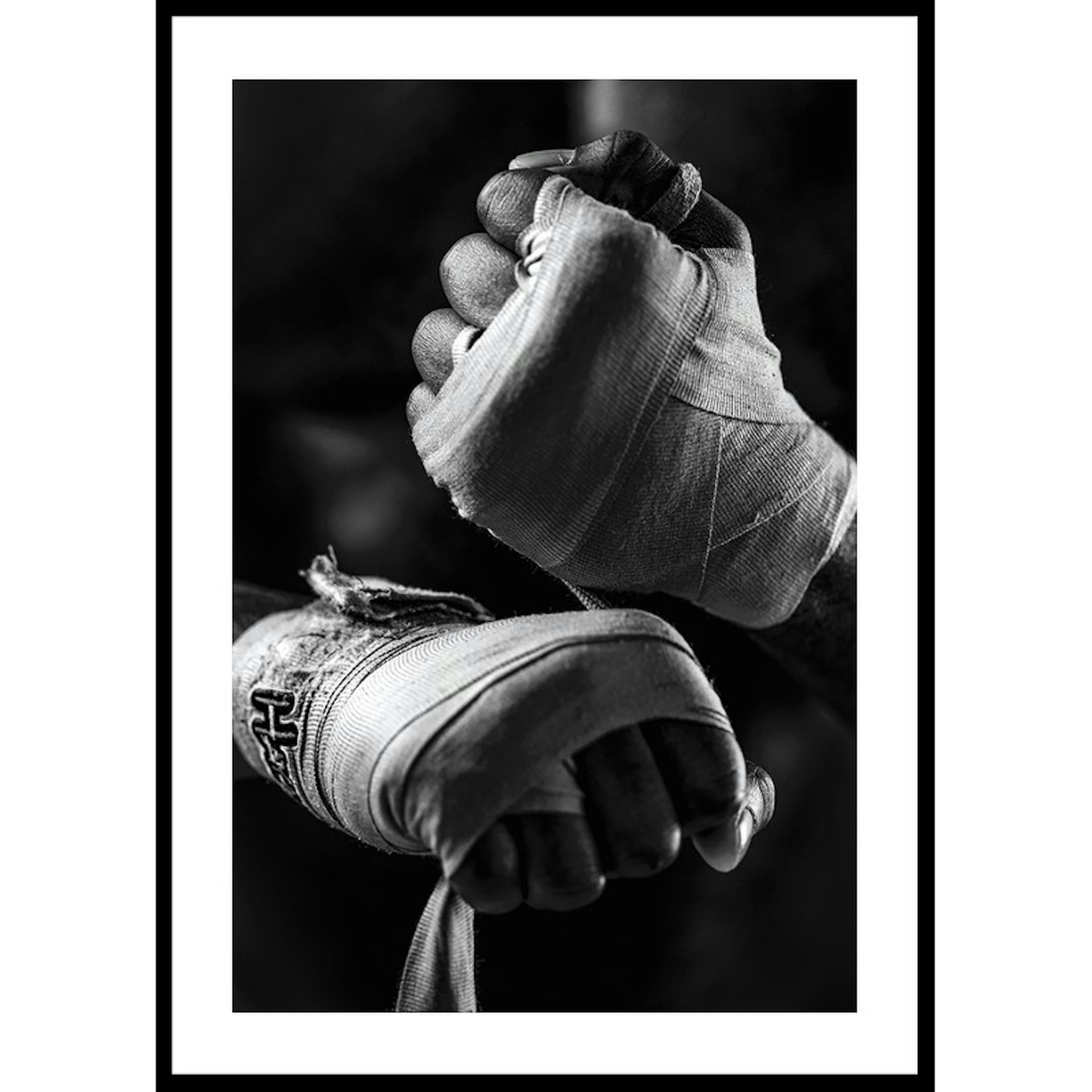 Poster Gallerix Ready To Fight