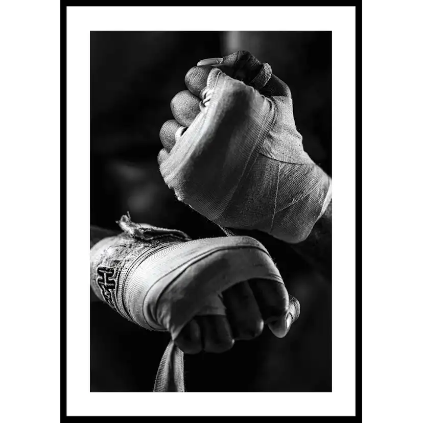 Poster Gallerix Ready To Fight