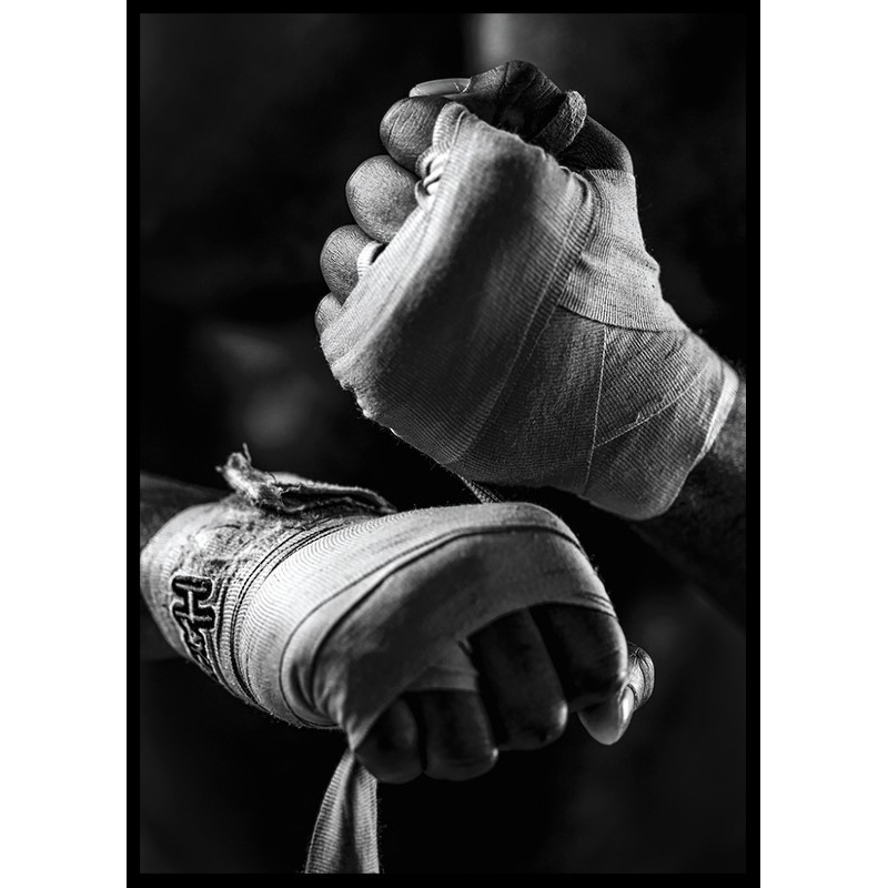 Poster Gallerix Ready To Fight