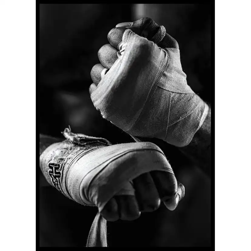 Poster Gallerix Ready To Fight