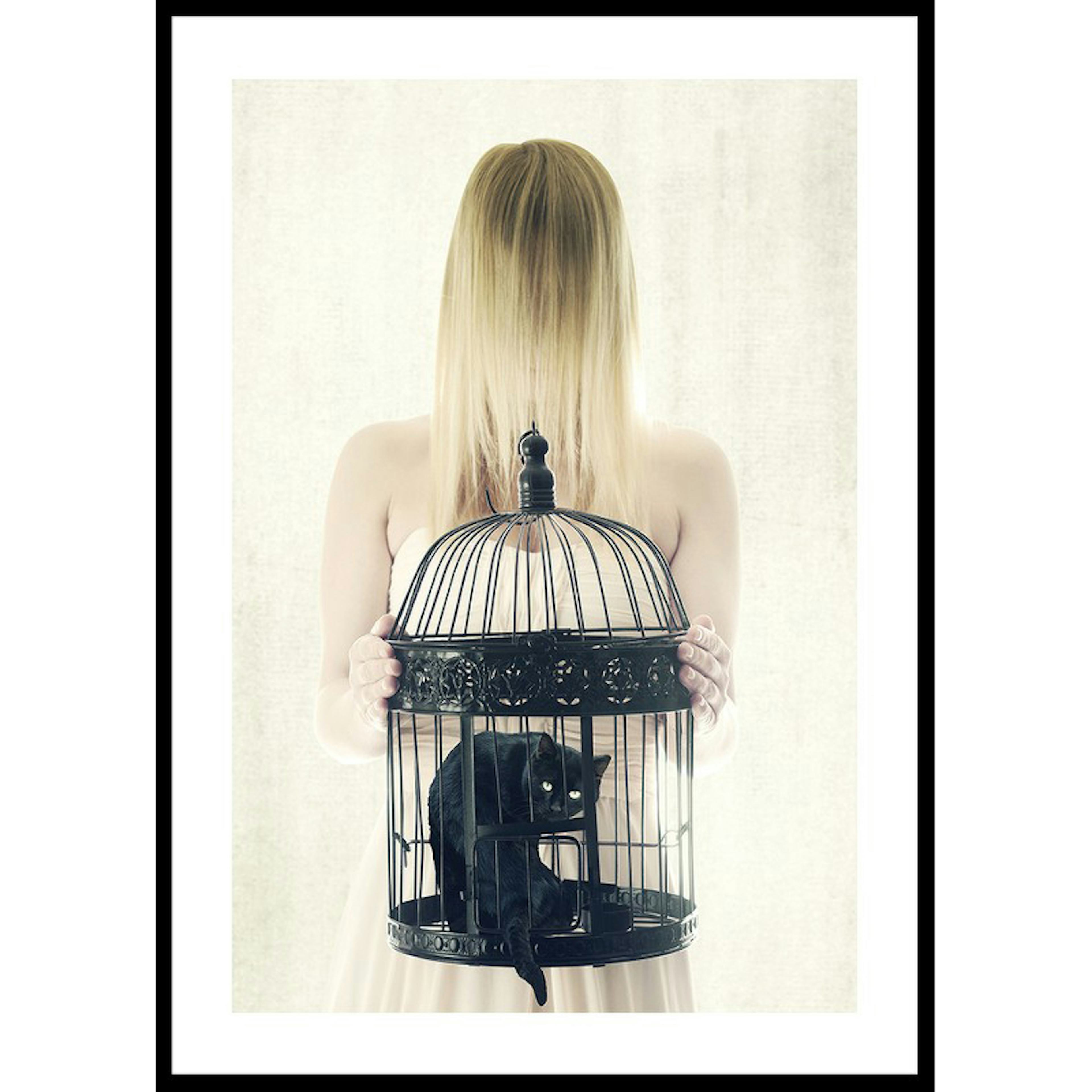 Poster Gallerix The Bad Black Cat