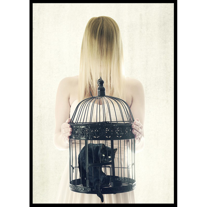 Poster Gallerix The Bad Black Cat