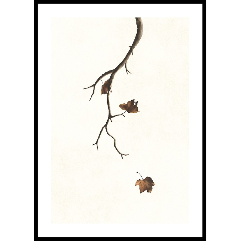 Poster Gallerix Autumn Leaves Falling