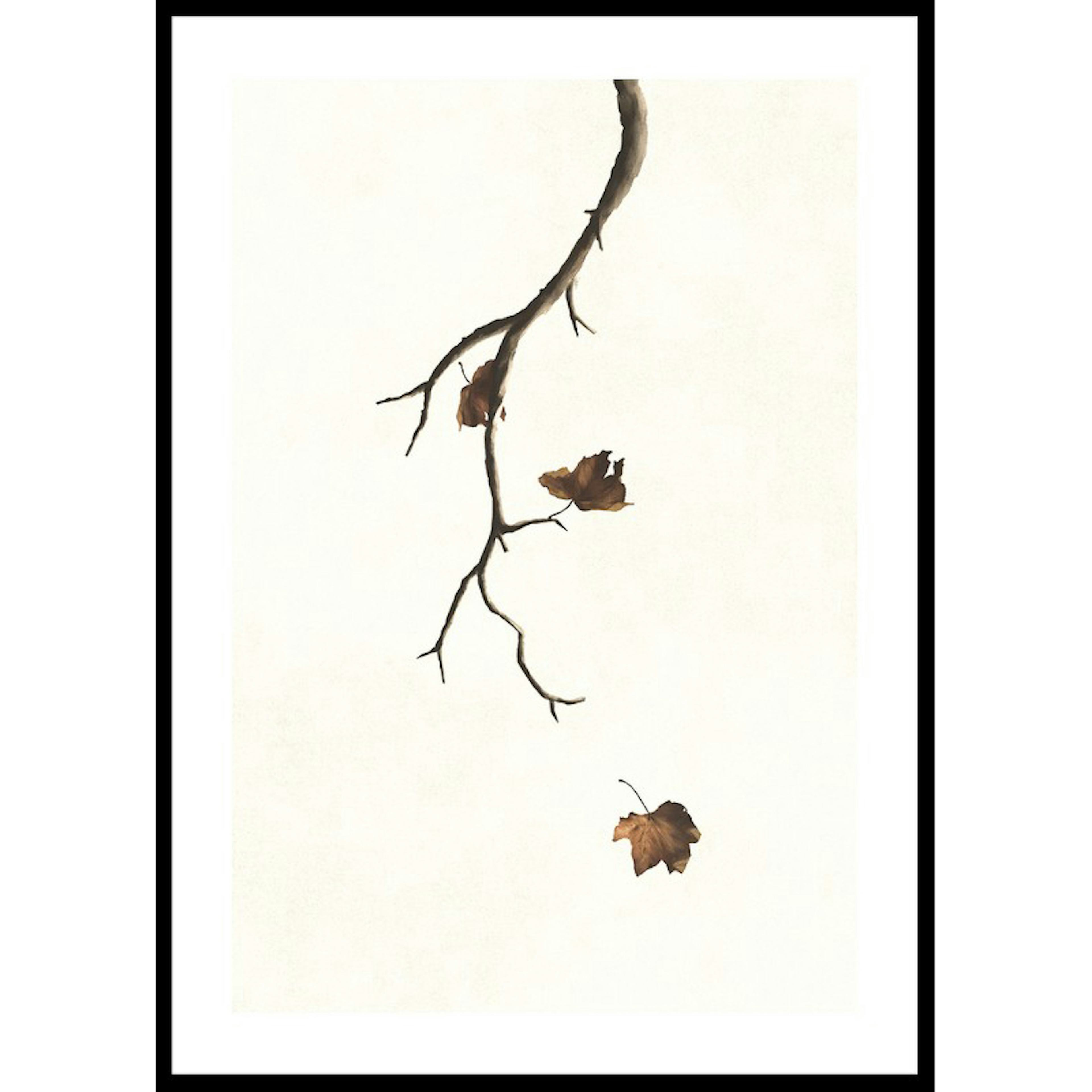 Poster Gallerix Autumn Leaves Falling