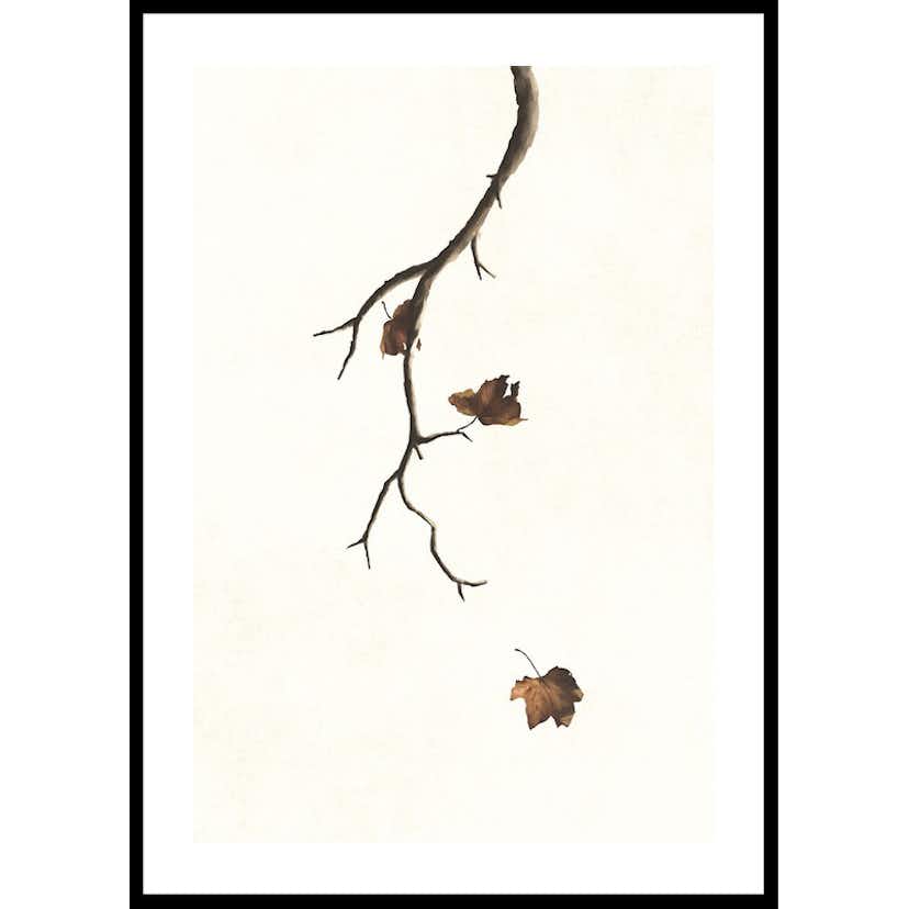 Poster Gallerix Autumn Leaves Falling
