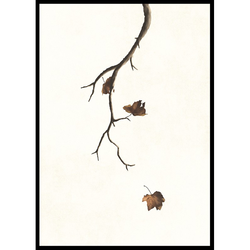 Poster Gallerix Autumn Leaves Falling