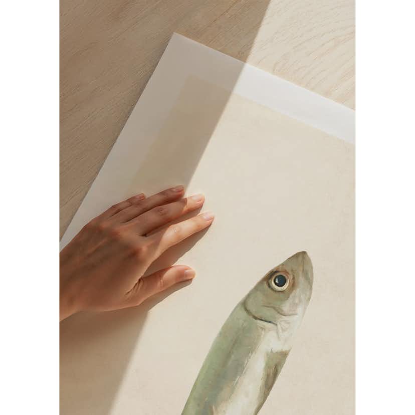 Poster Gallerix Colored Sardine