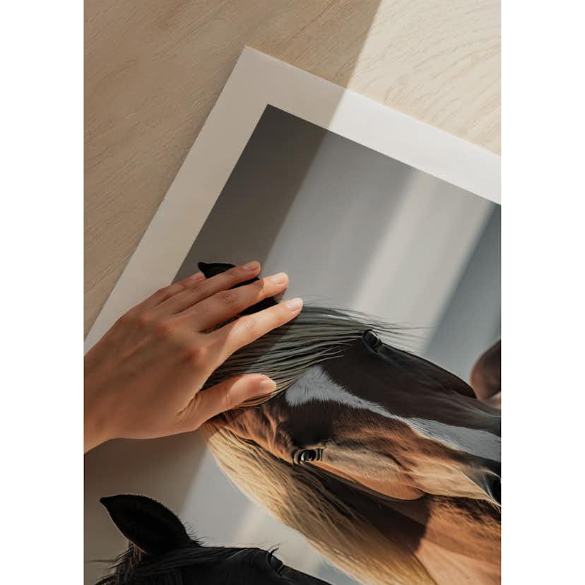 Poster Gallerix Brown Horses