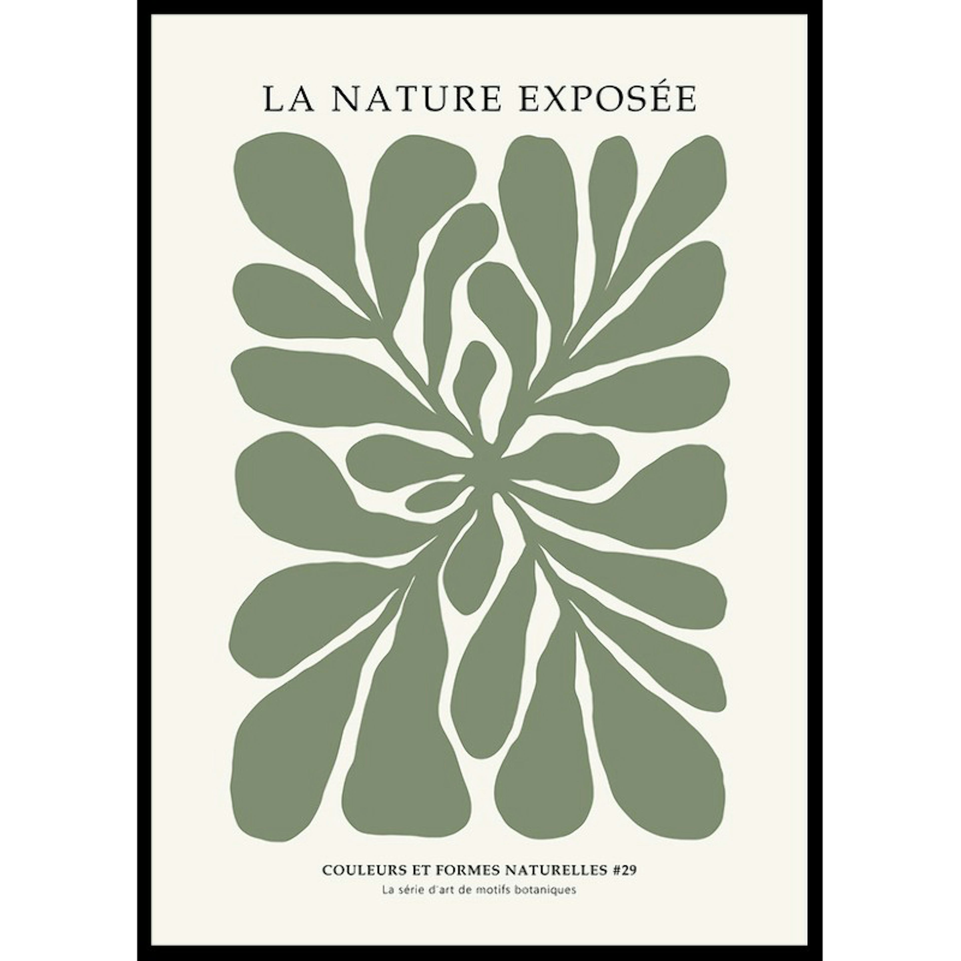 Poster Gallerix La Nature Exposee 29