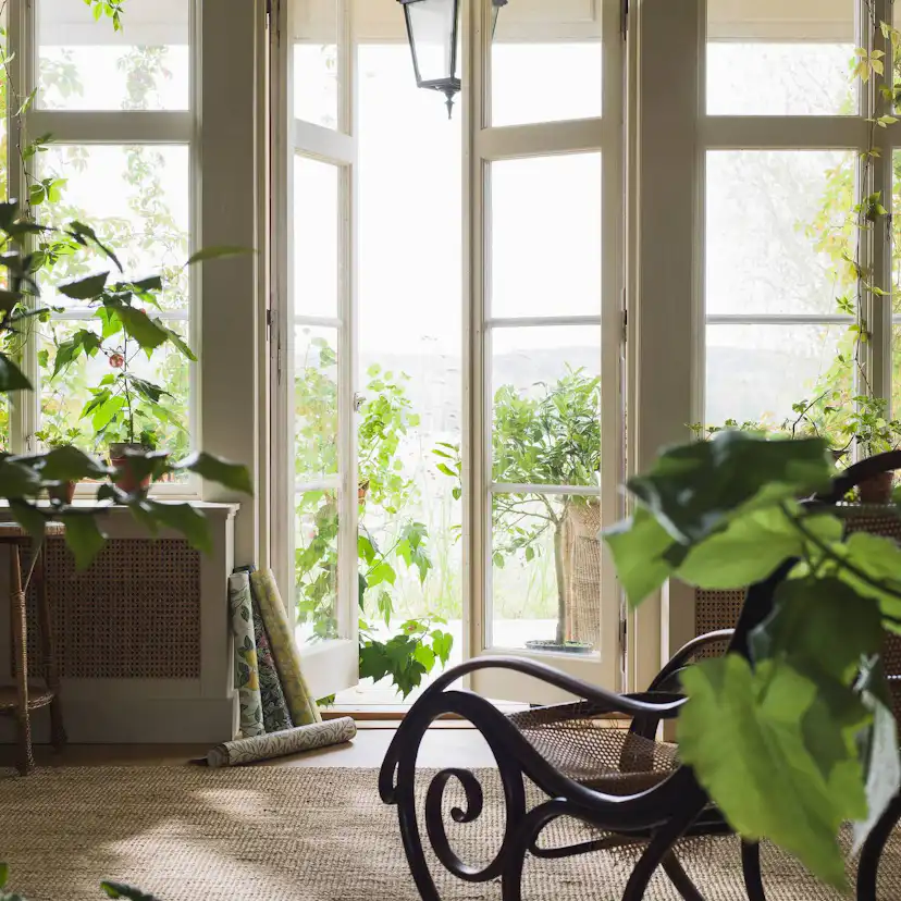 Tapet Boråstapeter Citronträd 5702