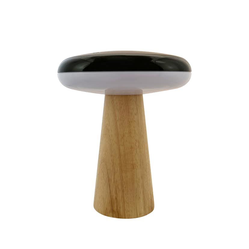 Bordslampa Dyberg Larsen 2 Ways