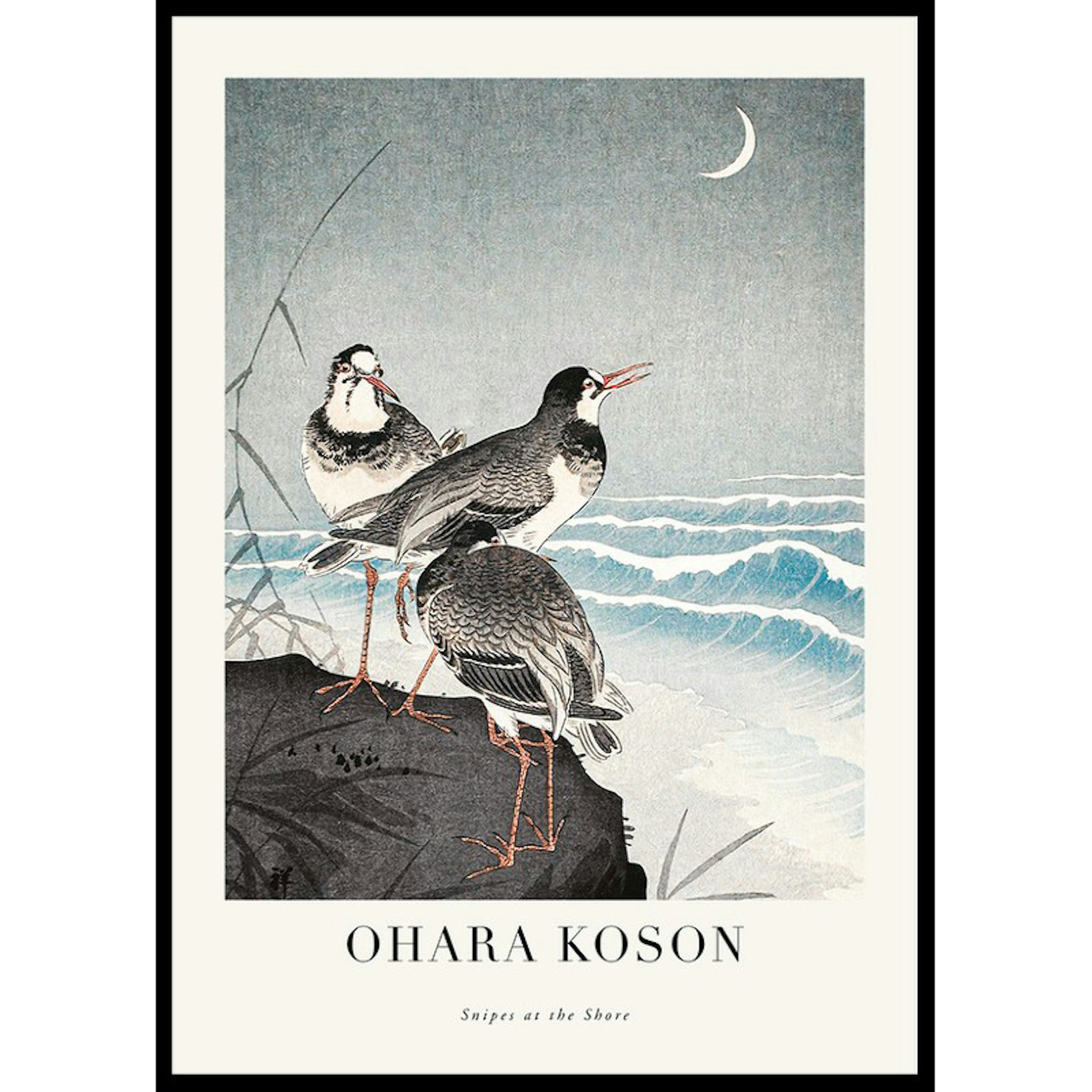 Poster Gallerix Snipes At The Shore By Ohara Koson