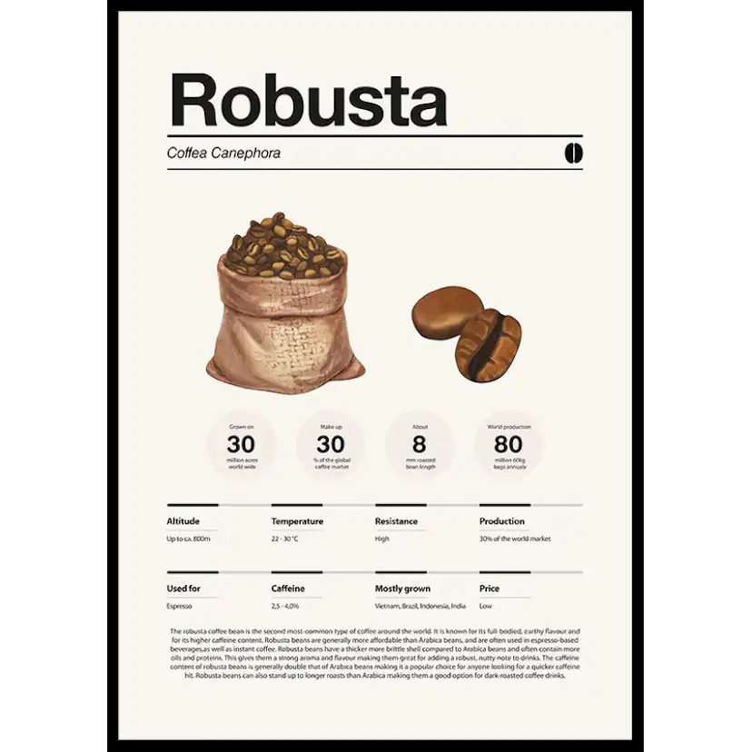 Poster Gallerix Robusta Coffee Beans