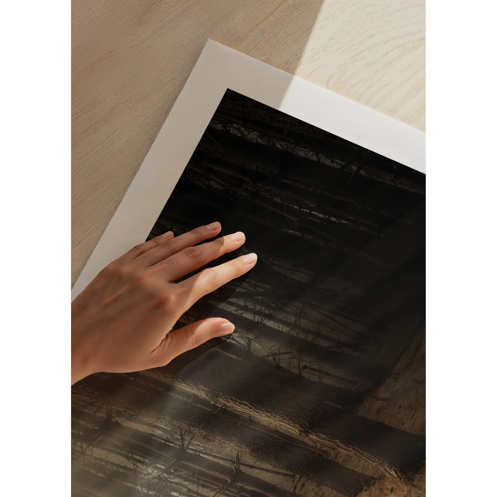 Poster Gallerix Deer In Forest