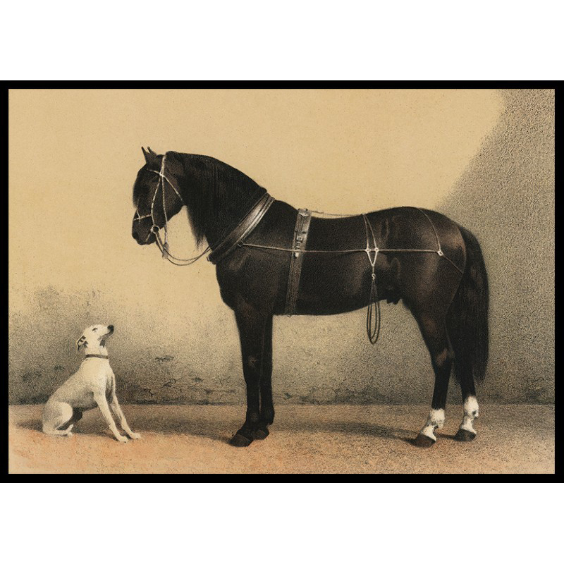 Poster Gallerix Horse And Hound