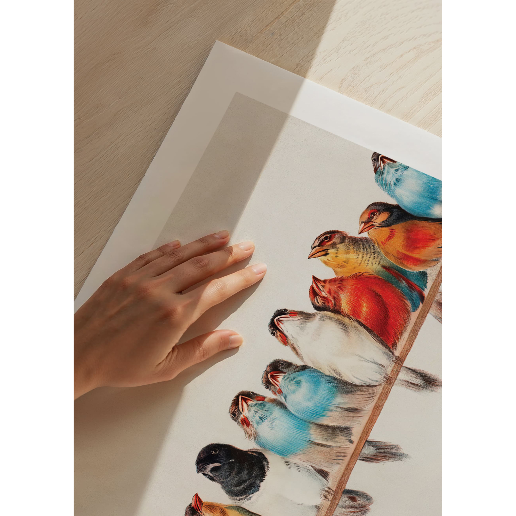 Poster Gallerix Birds In A Row Landscape