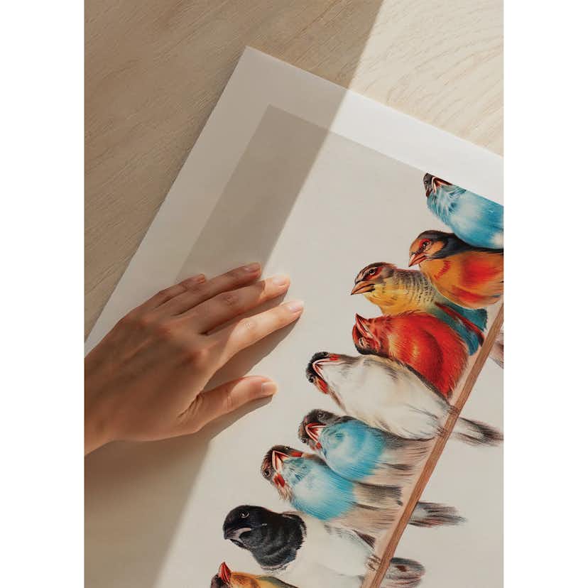 Poster Gallerix Birds In A Row Landscape