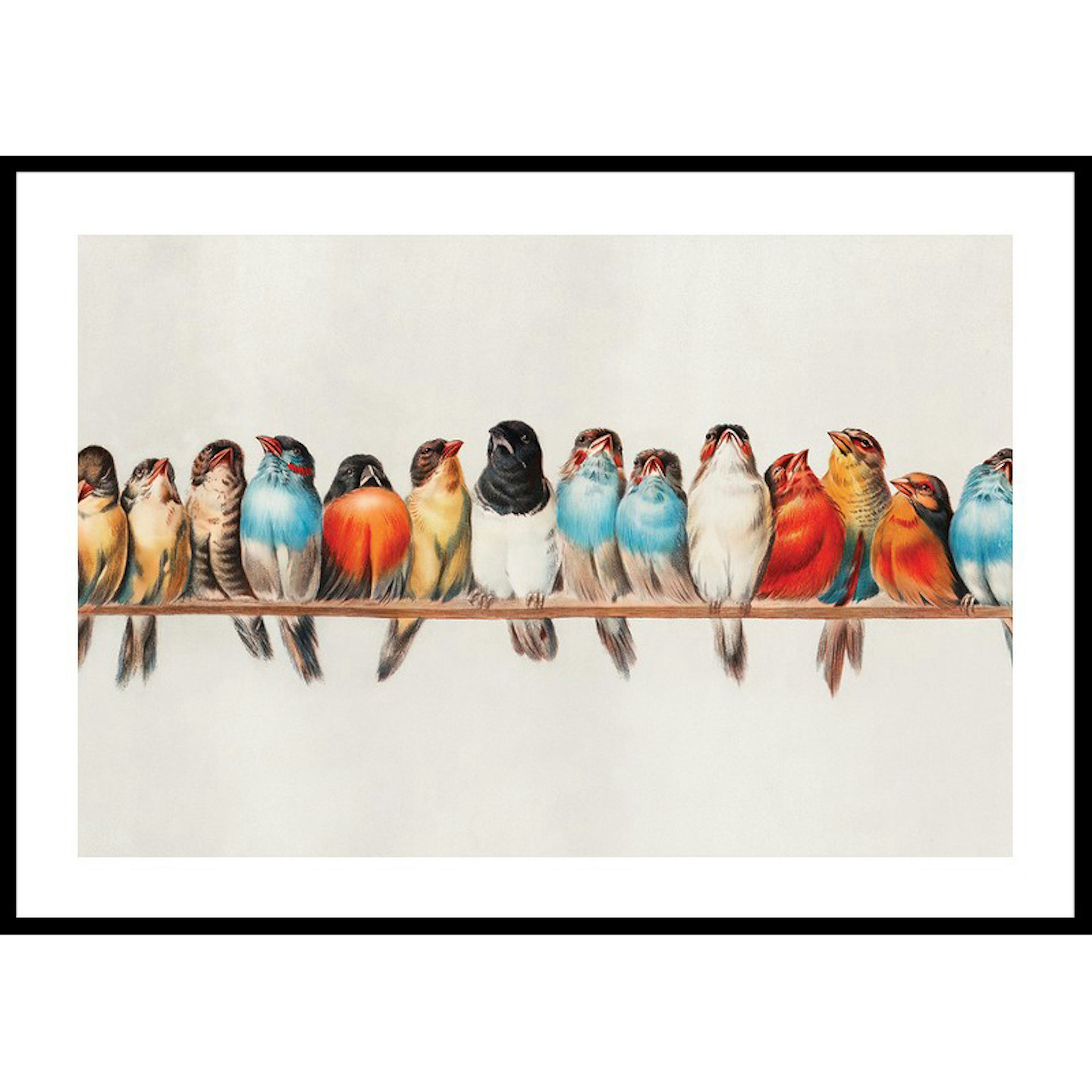 Poster Gallerix Birds In A Row Landscape