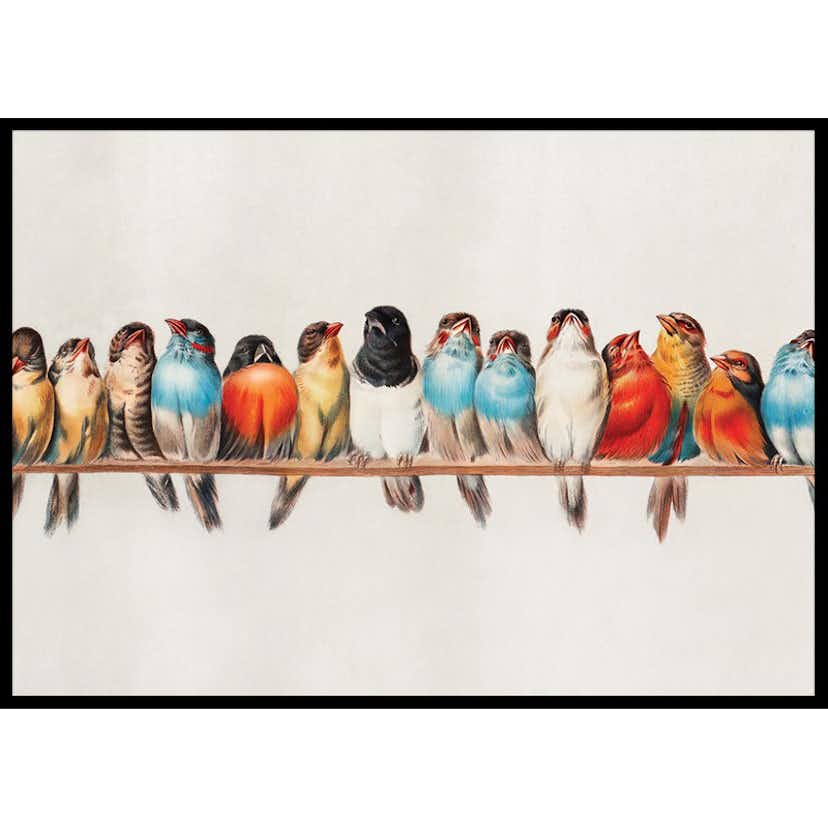 Poster Gallerix Birds In A Row Landscape