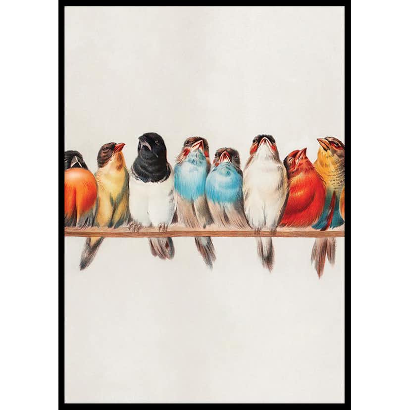 Poster Gallerix Birds In A Row Portrait
