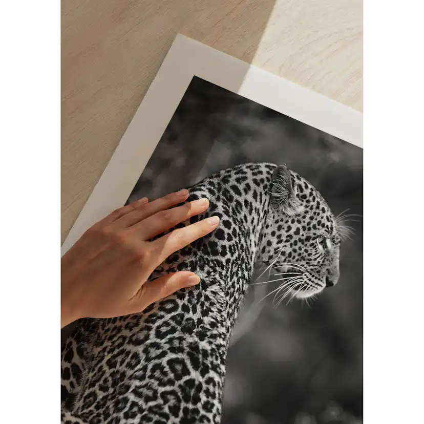 Poster Gallerix Jaguar B&W