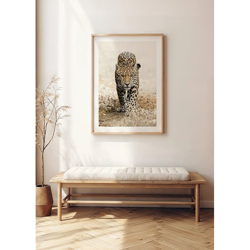 Poster Gallerix Jaguar