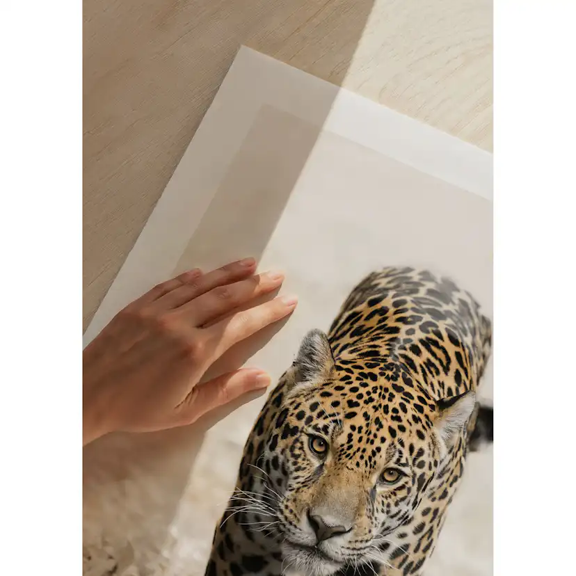 Poster Gallerix Jaguar