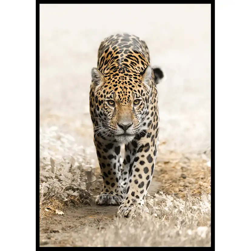 Poster Gallerix Jaguar