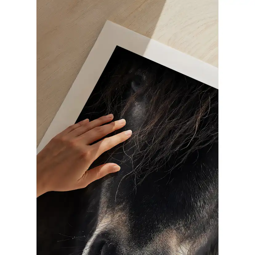 Poster Gallerix Horse Mule