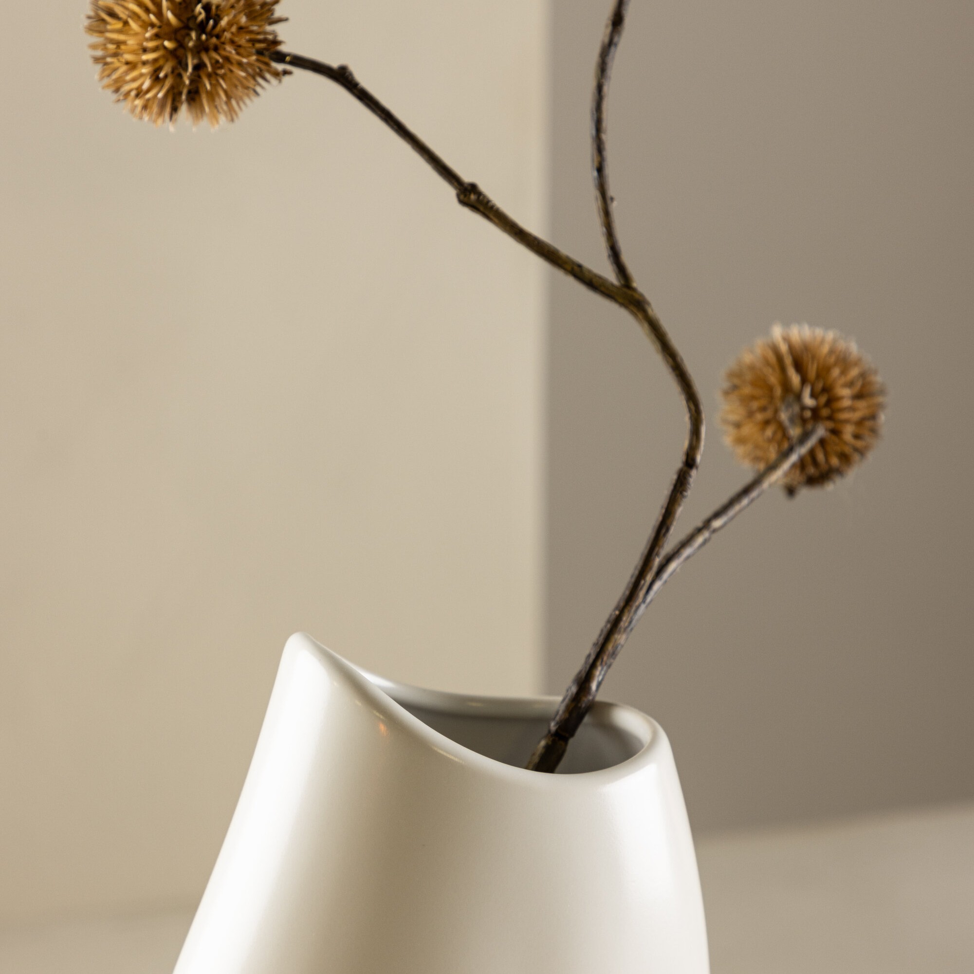 Vas Venture Home Ernst