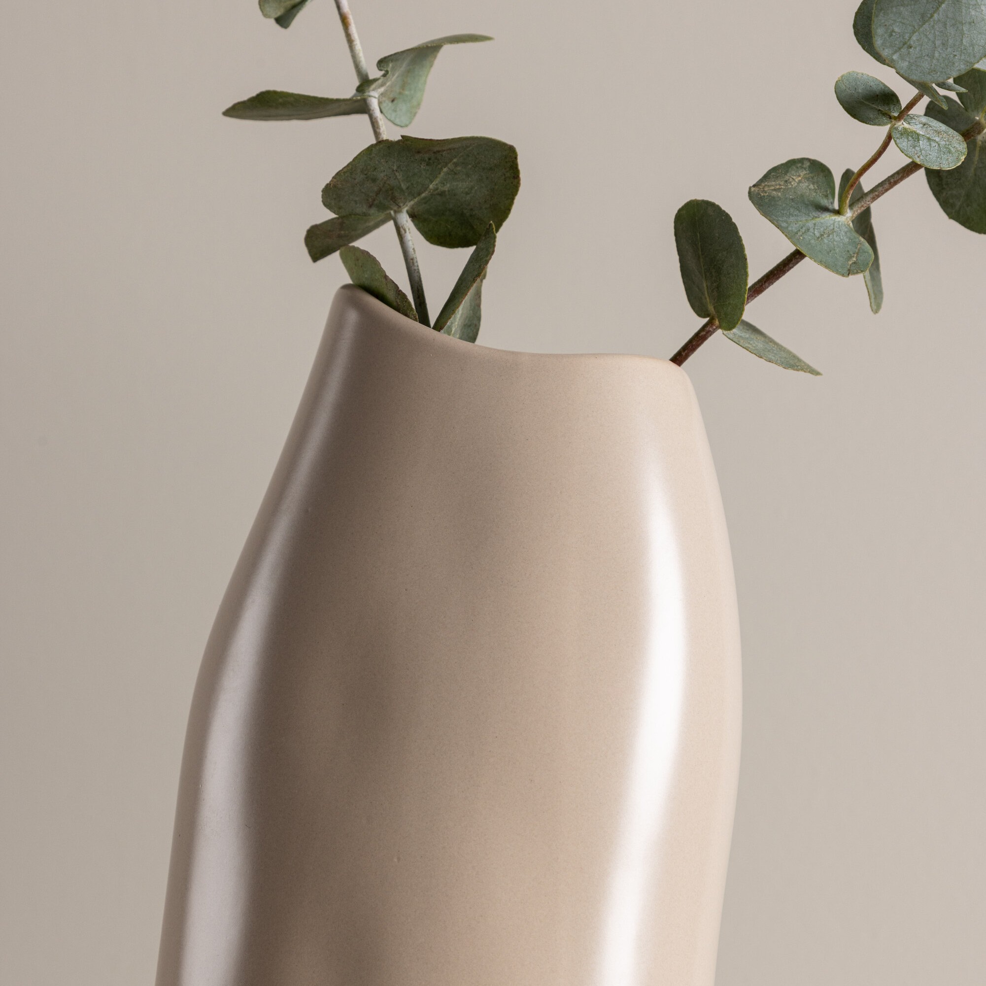 Vas Venture Home Ernst