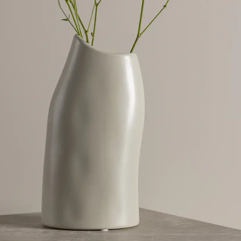 Vas Venture Home Ernst