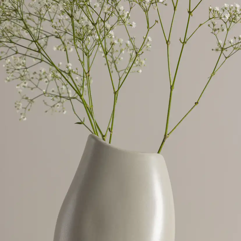 Vas Venture Home Ernst